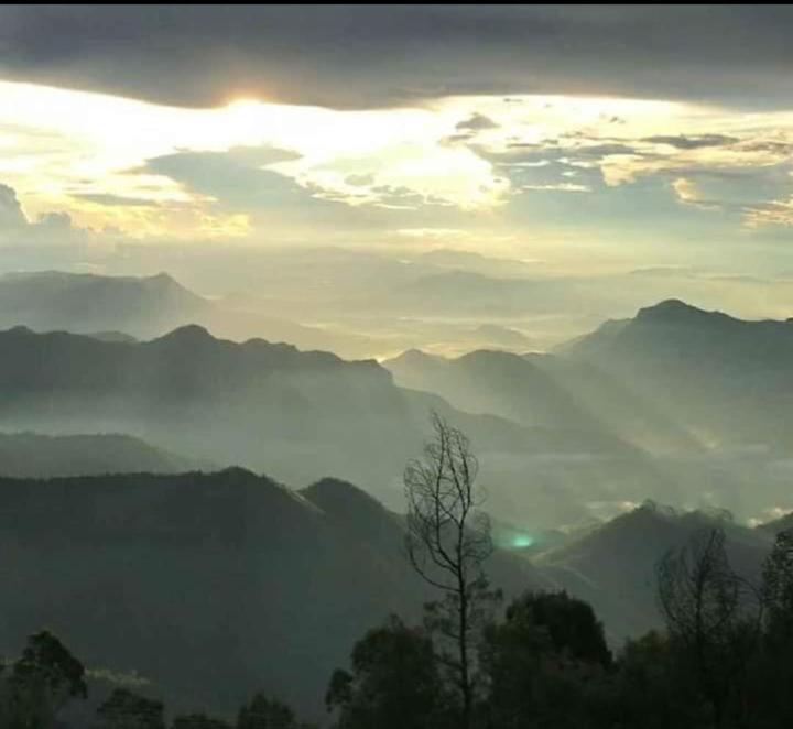Praveen'S Wood House Kodaikanal Vattakanal المظهر الخارجي الصورة