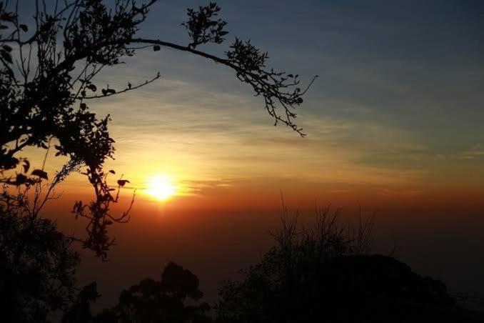 Praveen'S Wood House Kodaikanal Vattakanal المظهر الخارجي الصورة